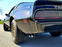1979 Pontiac Trans Am for sale in Michigan (ID-116884)