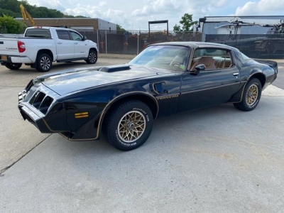 1979 Pontiac Trans Am for sale