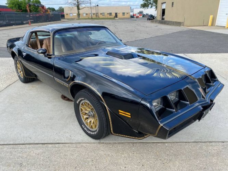 1979 Pontiac Trans Am for sale in Michigan (ID-118522)