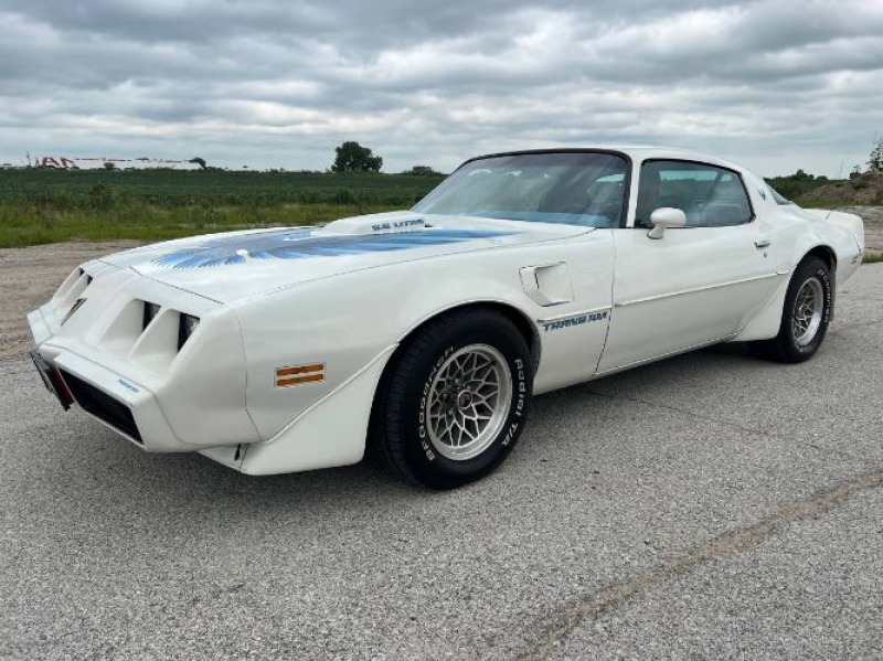 1979 Pontiac Trans Am for sale in Michigan (ID-119372)