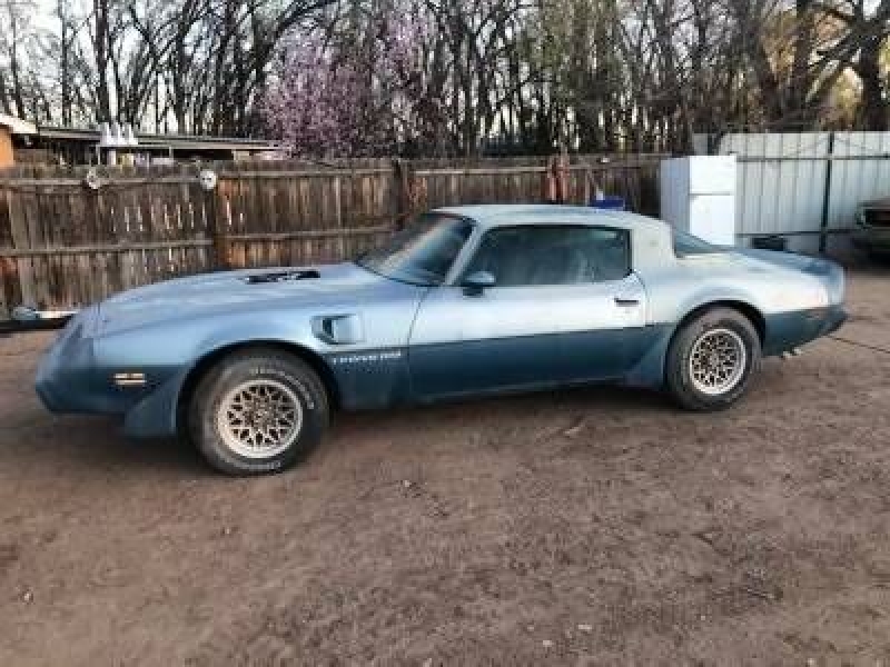 1979 Pontiac Trans Am for sale in Michigan (ID-119532)
