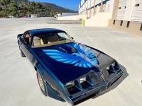 1979 Pontiac Trans Am for sale in Michigan (ID-119976)