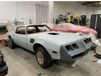 1979 Pontiac Trans Am for sale in Michigan (ID-119976)