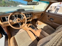 1979 Pontiac Trans Am for sale in Michigan (ID-119976)