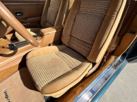 1979 Pontiac Trans Am for sale in Michigan (ID-119976)