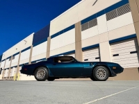 1979 Pontiac Trans Am for sale in Michigan (ID-119976)
