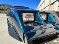 1979 Pontiac Trans Am for sale in Michigan (ID-119976)