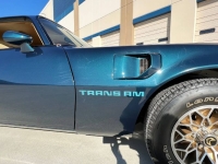 1979 Pontiac Trans Am for sale in Michigan (ID-119976)
