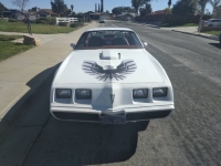 1979 Pontiac Trans Am for sale in Michigan (ID-120832)