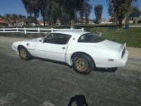 1979 Pontiac Trans Am for sale in Michigan (ID-120832)
