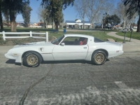 1979 Pontiac Trans Am for sale in Michigan (ID-120832)