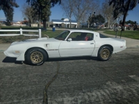 1979 Pontiac Trans Am for sale in Michigan (ID-120832)