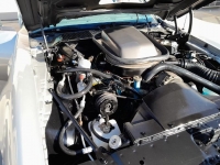 1979 Pontiac Trans Am for sale in Michigan (ID-123244)