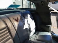 1979 Pontiac Trans Am for sale in Michigan (ID-123244)
