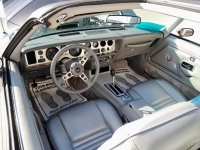 1979 Pontiac Trans Am for sale in Michigan (ID-123244)