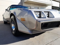 1979 Pontiac Trans Am for sale in Michigan (ID-123244)