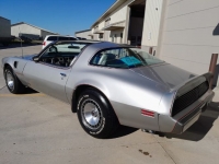 1979 Pontiac Trans Am for sale in Michigan (ID-123244)