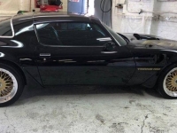 1979 Pontiac Trans Am for sale in Michigan (ID-124626)