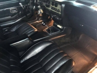 1979 Pontiac Trans Am for sale in Michigan (ID-124626)