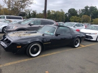 1979 Pontiac Trans Am for sale in Michigan (ID-124626)