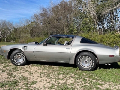 1979 Pontiac Trans Am for sale