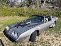 1979 Pontiac Trans Am for sale in Michigan (ID-125011)