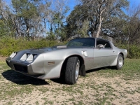1979 Pontiac Trans Am for sale in Michigan (ID-125011)