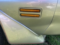 1979 Pontiac Trans Am for sale in Michigan (ID-125011)