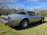 1979 Pontiac Trans Am for sale in Michigan (ID-125011)