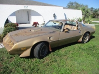 1979 Pontiac Trans Am for sale in Michigan (ID-125509)
