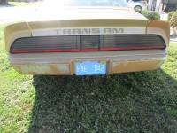 1979 Pontiac Trans Am for sale in Michigan (ID-125509)
