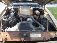 1979 Pontiac Trans Am for sale in Michigan (ID-125509)