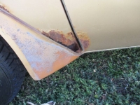 1979 Pontiac Trans Am for sale in Michigan (ID-125509)