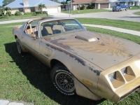 1979 Pontiac Trans Am for sale in Michigan (ID-125509)