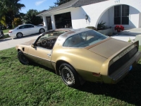 1979 Pontiac Trans Am for sale in Michigan (ID-125509)