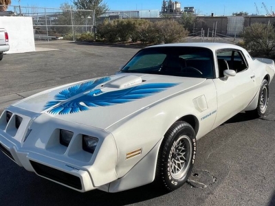 1979 Pontiac Trans Am for sale