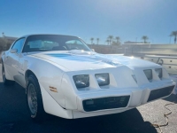 1979 Pontiac Trans Am for sale in Riverhead, New York (ID-127028)