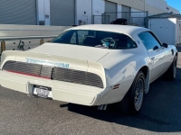 1979 Pontiac Trans Am for sale in Riverhead, New York (ID-127028)