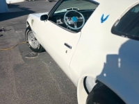 1979 Pontiac Trans Am for sale in Riverhead, New York (ID-127028)