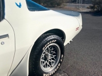 1979 Pontiac Trans Am for sale in Riverhead, New York (ID-127028)