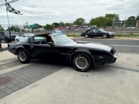 1979 Pontiac Trans Am for sale in Riverhead, New York (ID-129599)