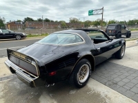 1979 Pontiac Trans Am for sale in Riverhead, New York (ID-129599)