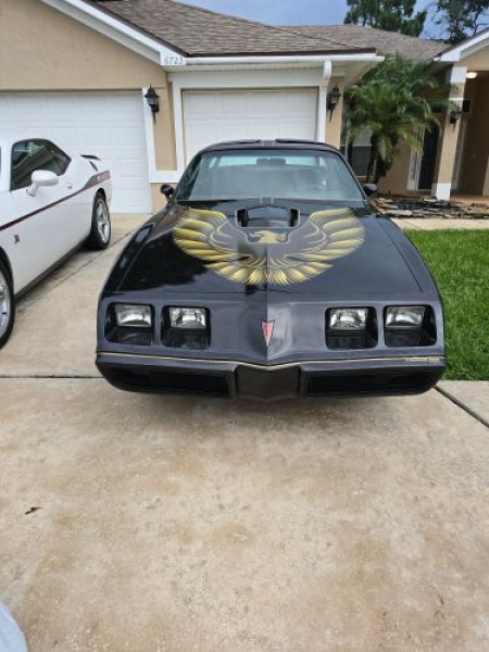 1979 Pontiac Trans Am for sale in Michigan (ID-131480)
