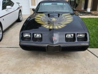 1979 Pontiac Trans Am for sale in Michigan (ID-131480)