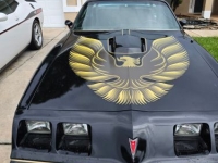 1979 Pontiac Trans Am for sale in Michigan (ID-131480)