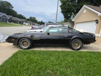 1979 Pontiac Trans Am for sale in Michigan (ID-131480)