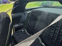 1979 Pontiac Trans Am for sale in Michigan (ID-131480)