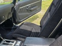1979 Pontiac Trans Am for sale in Michigan (ID-131480)