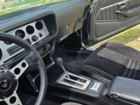 1979 Pontiac Trans Am for sale in Michigan (ID-131480)