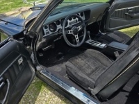 1979 Pontiac Trans Am for sale in Michigan (ID-131480)